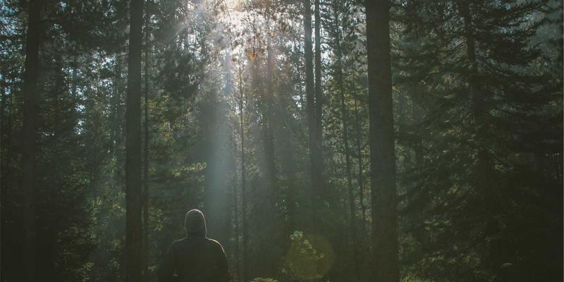揭秘汕头金达高速宽幅流延膜生产线:核心技术如何重塑工业薄膜制造新格局