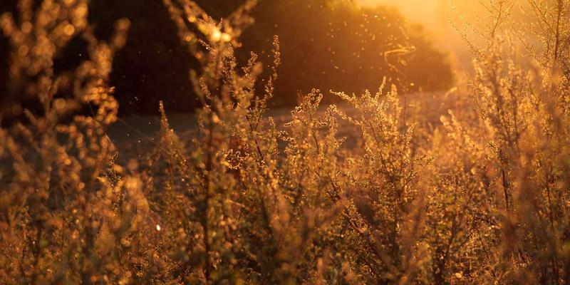 模块化革命:揭秘汕头金达如何将大型工业设备交付周期缩短40%