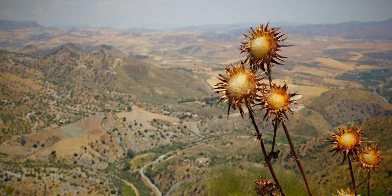 汕头金达:以研发为引擎,驱动设备制造与新材料创新的双重革命