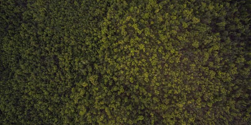 精密制造新标杆：汕头金达如何以技术突破重塑锂电池隔膜设备市场格局